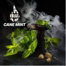 Табак для кальяна Black Burn - Cane Mint (Тростниковая мята) 100 гр