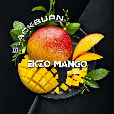 Табак для кальяна Black Burn Ekzo Mango (Сочное Манго) 100 г